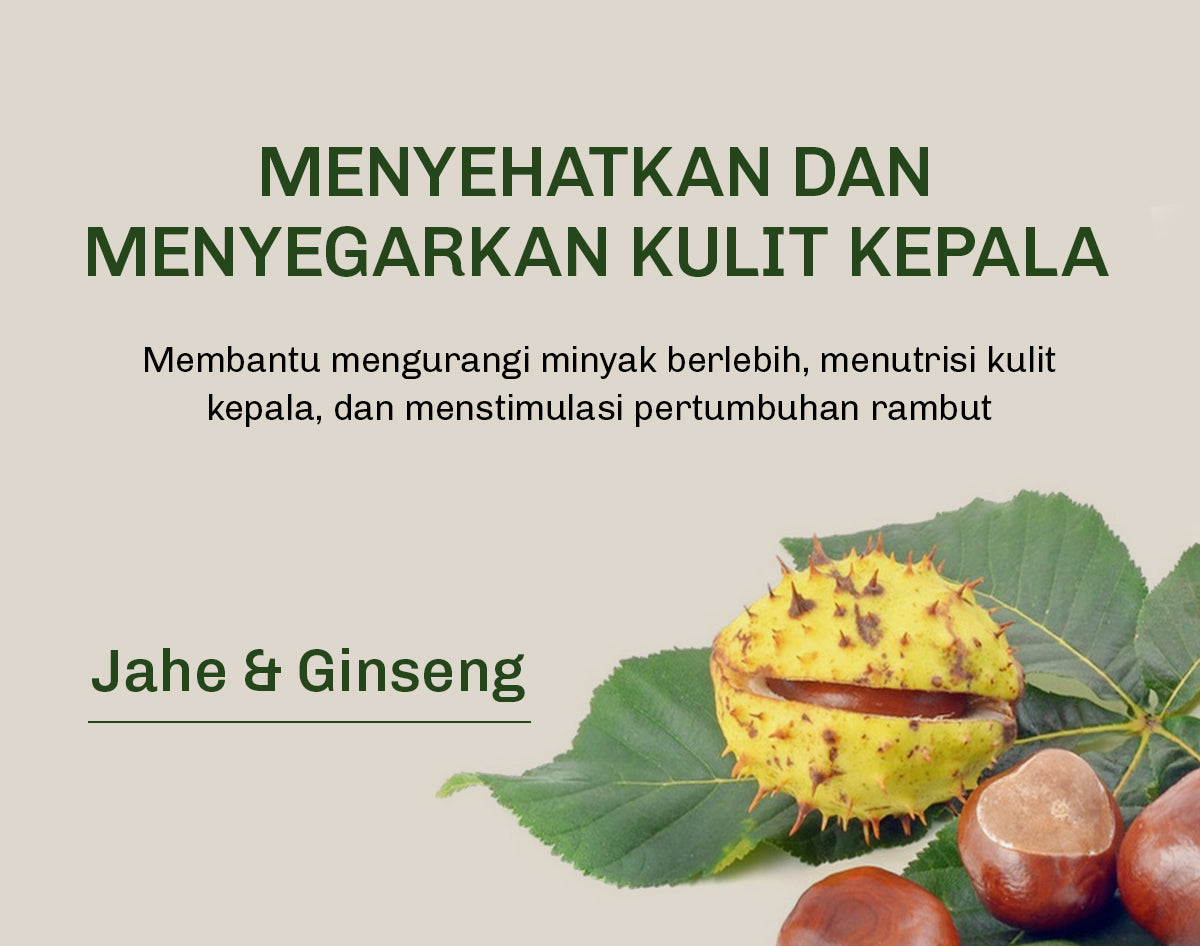 Lavojoy Hold Me Tight Pro Scalp Essence Spring Wonder | Hair Shampoo | Shampo Rambut | Mengatasi Rambut Rontok Kebotakan | Perawatan Rambut Rontok | Memperkuat Akar Rambut | Perawatan Rambut Rontok Essence | Hair Tonic | Essence Ginseng & Jahe