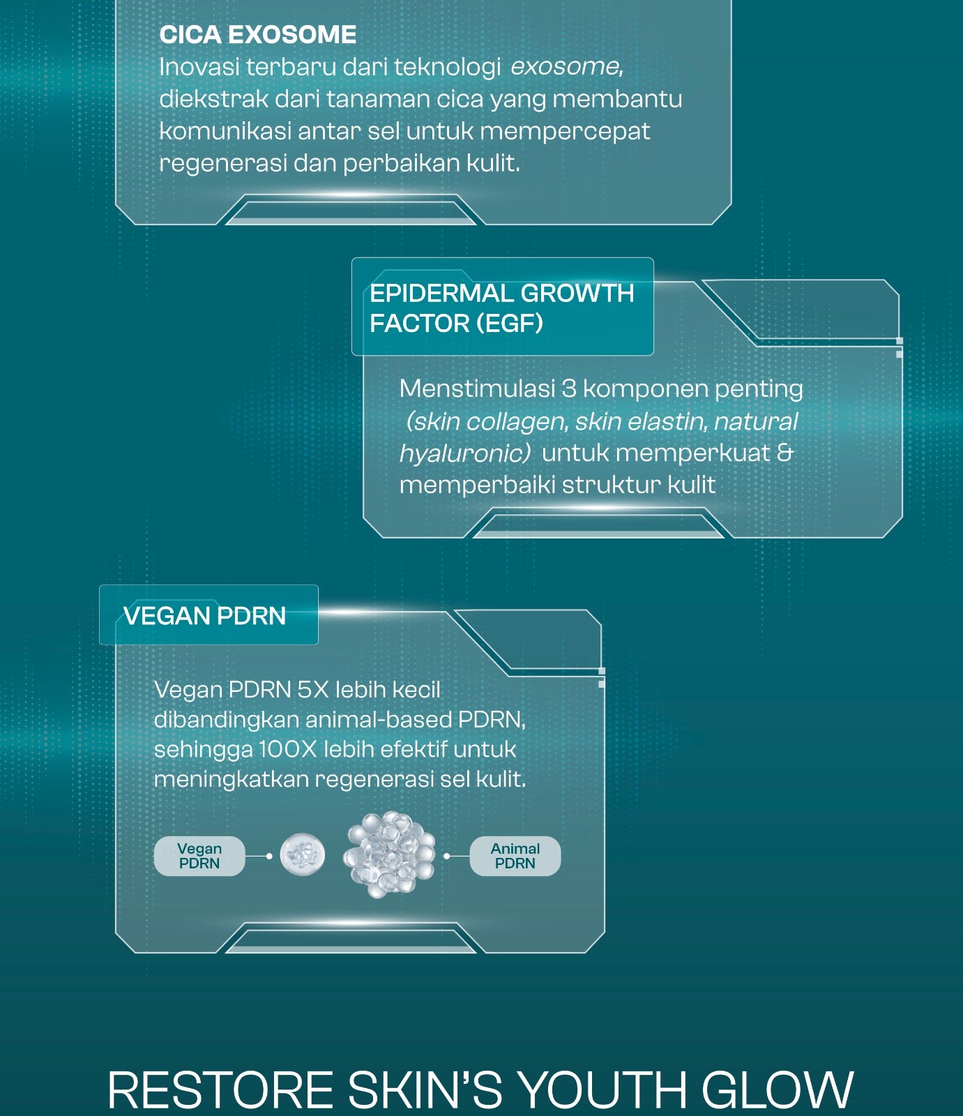 [TASYA FARASYA APPROVED!] Wardah EXOSOME + PDRN Lift Regenerating Serum (Clinic Treatment Serum dengan Salmon DNA & Hifu Result, Glowing, Plumpy, Collagen Serum) - Skincare