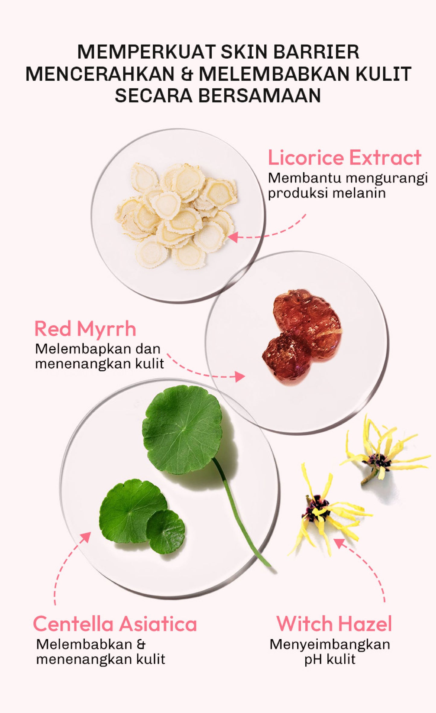 [TONE UP SHADE 01] Lavojoy Let It Glow Daily Shine Body Serum Instant Tone Up Delicate Rose with SPF 50 PA++++|Shade 01 Cream Beige|Body Serum untuk Perlindungan Sinar UV|Mencerahkan Seketika & Melembapkan Kulit dengan 3% Niacinamide + Australian Super VC