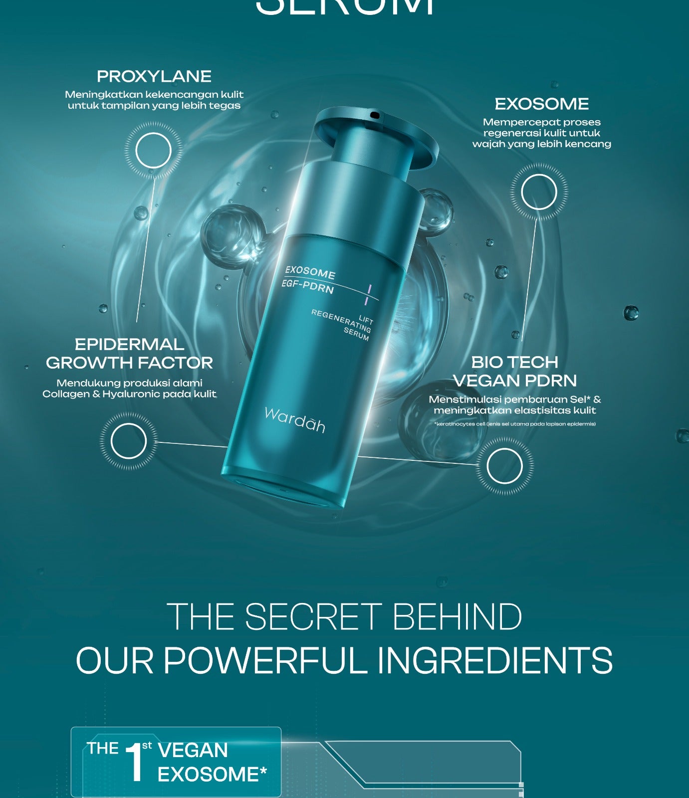 [TASYA FARASYA APPROVED!] Wardah EXOSOME + PDRN Lift Regenerating Serum (Clinic Treatment Serum dengan Salmon DNA & Hifu Result, Glowing, Plumpy, Collagen Serum) - Skincare