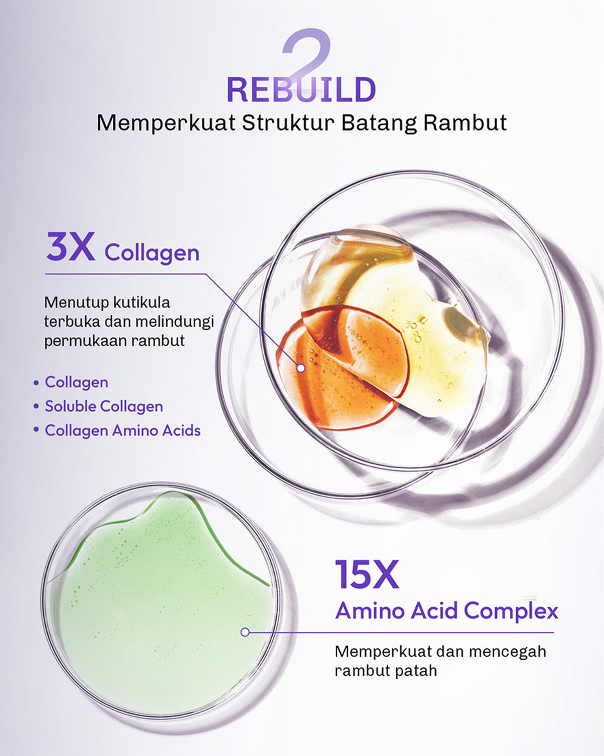 [FOR DAMAGED & COLORED HAIR] Lavojoy Repair Me Now 2in1 Bundle Shampoo 280ml + Hair Mask 250ml | Paket Perawatan Rambut Halus & Berkilau Tanpa Lepek