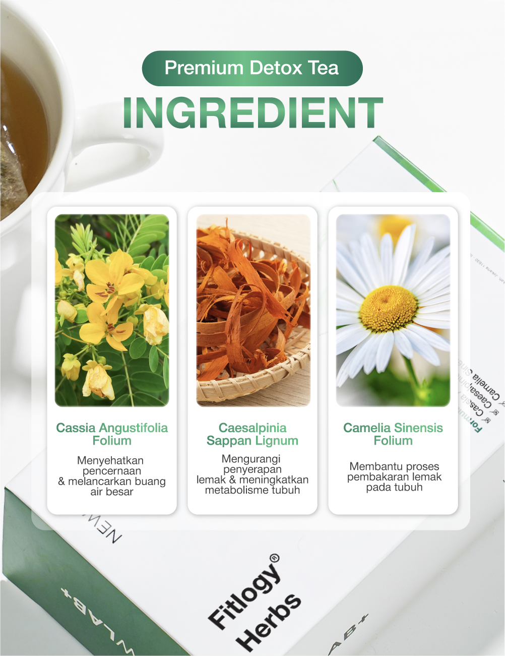 NEWLAB Paket 2 Box Fitlogy Tea Drink | Herbal Tea | Minuman Teh Hijau Herbal 56 Tea Bags
