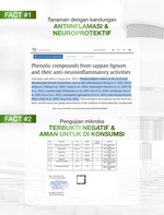 NEWLAB Fitlogy Fiber 30B-Probio | Minuman Probiotik | Fiber Drink untuk Diet | Kaya akan Probiotic 15 Sachet