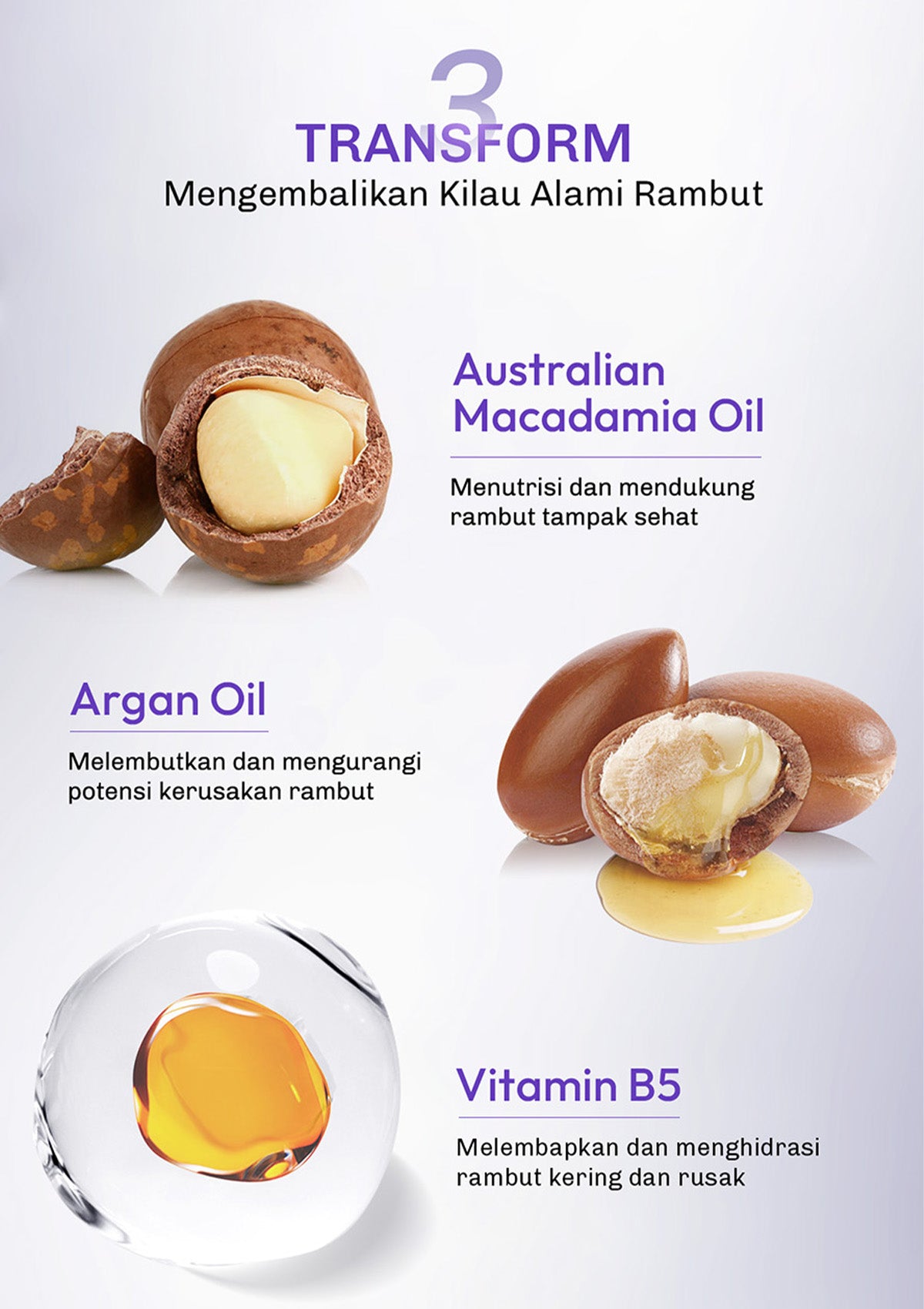 [NEW LAUNCH]  Lavojoy Repair Me Now Hair Mask Iris Garden 250ml | Halus & Berkilau Tanpa Lepek | Multi-Layering Repair With 3×Keratin + 3×Collagen + 15× Amino Complex + Argan + Macadamia Oil + Peptide Hydra-Repair