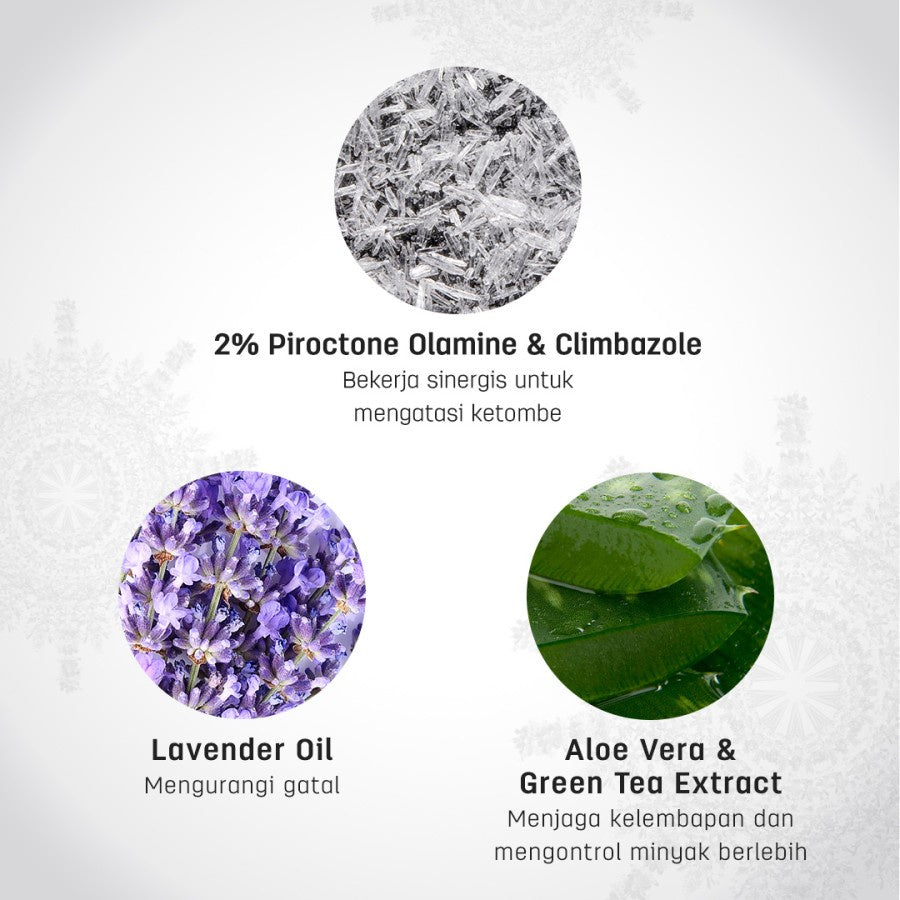 ERHAIR Twin Flame Scalperfect Anti Dandruff Shampoo  370ml - Sampo Anti Ketombe & Seboroik