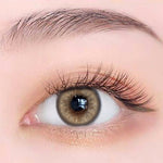 Exoticon Softlens - Exoticon Color - Exo Color Bebi Light Brown | Bebi Light Grey | Soflens 14.5 mm