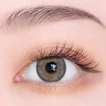 Exoticon Softlens - Exoticon Color - Exo Color Luv Grey | Luv Choco | Softlens Korea