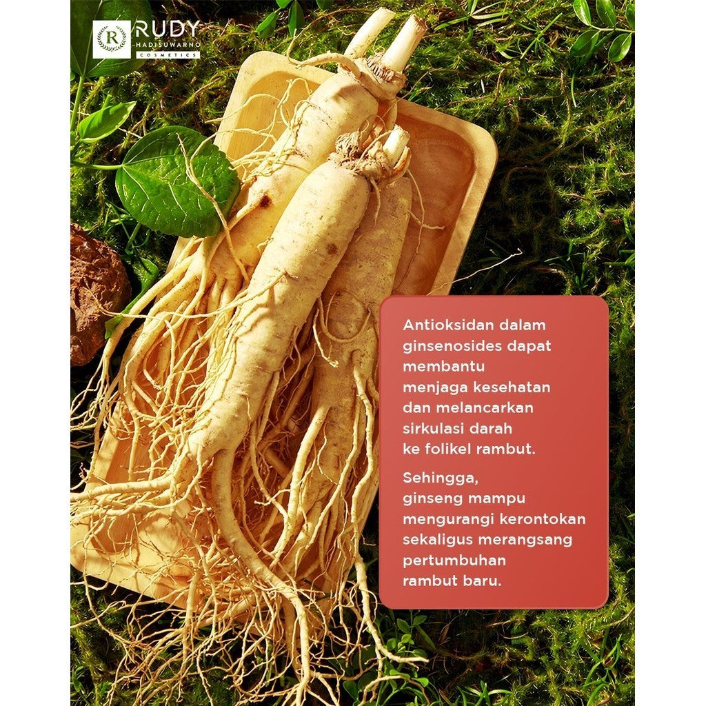 [BUNDLE] Rudy Hadisuwarno Hairloss Solution Shampo 200ml & Tonic 100ml