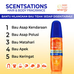 Paket Makarizo Hair Energy Scentsations Amber Wood & Blue Coast 100mL