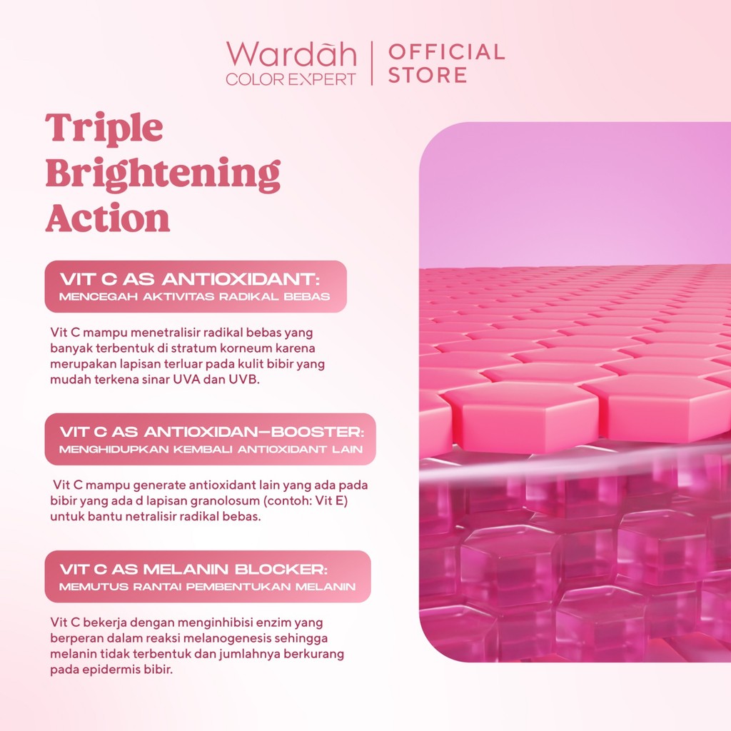 [LIP CARE MENCERAHKAN] NEW! WARDAH Lip Rescue Jelly Balm Dusty Rose - Lip Therapy, Hydrating - Mencerahkan Bibir, Bibir Sehat, Plump - Glossy, Lip Matte, Liptint, Lip Stain, Lipgloss, Lip Cream, Lip tint Waterproof -Tahan Lama - Dark Lips - Bibir Pecah