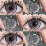 Eyeshare Softlens Purple Gray Brown 14.2mm 1Pasang Lensa Kontak Soft Softlen Cosplay