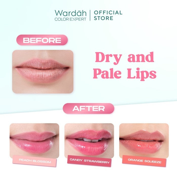LIPCARE MELEMBABKAN BIBIR Wardah Hydrabalm Lip Care 4 g Pelembab Bibir dengan SPF 15 Petrolatum Murni 100 Lip Balm Makeup Lip Balm Bibir Liptint Anak Sekolah Lipstik Lipstick Lip Glossy