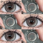 Eyeshare Softlens Purple Gray Brown 14.2mm 1Pasang Lensa Kontak Soft Softlen Cosplay