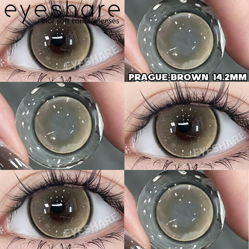 Eyeshare Softlens Purple Gray Brown 14.2mm 1Pasang Lensa Kontak Soft Softlen Cosplay