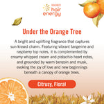 Makarizo Hair Energy Scentsations Hair Fragrance Under the Orange Tree 100 mL