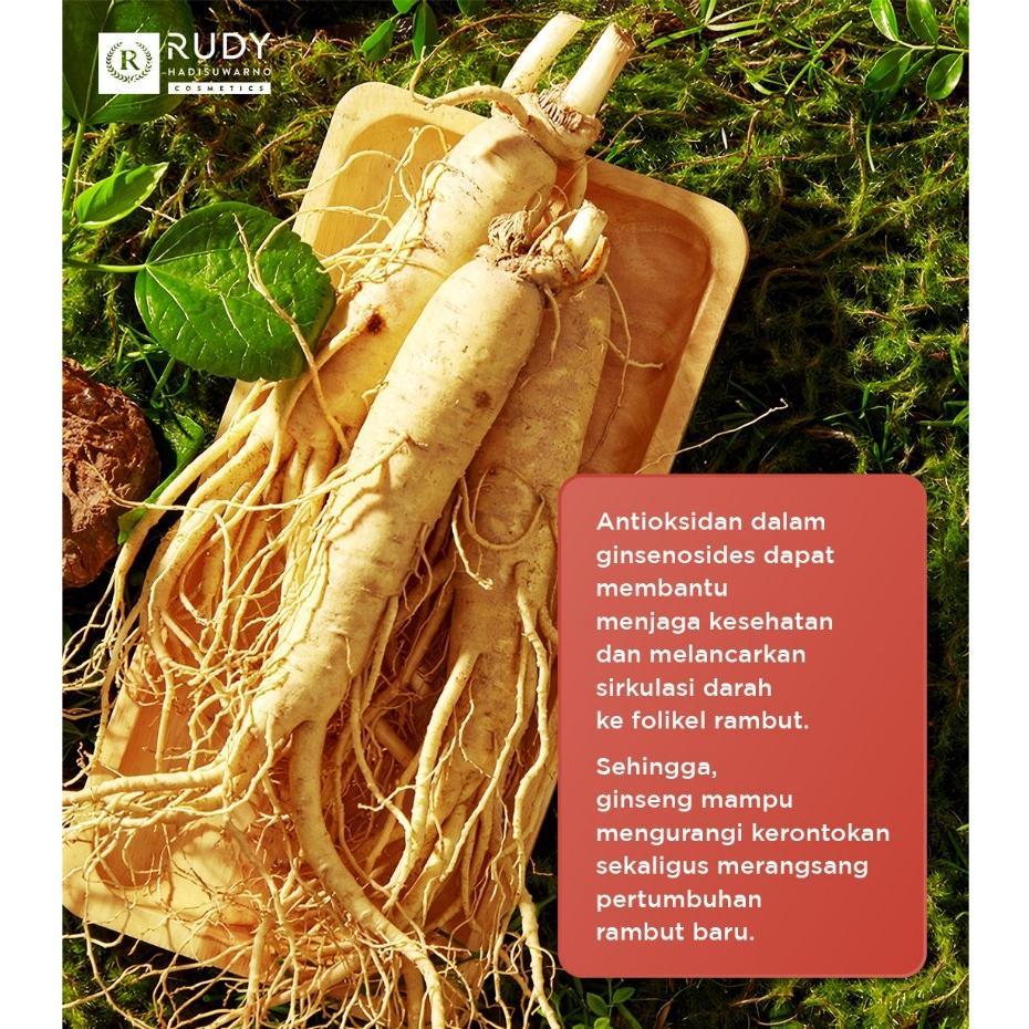 [BUNDLE] Rudy Hadisuwarno Hairloss Solution PAKET PEMULA RAMBUT RONTOK PARAH