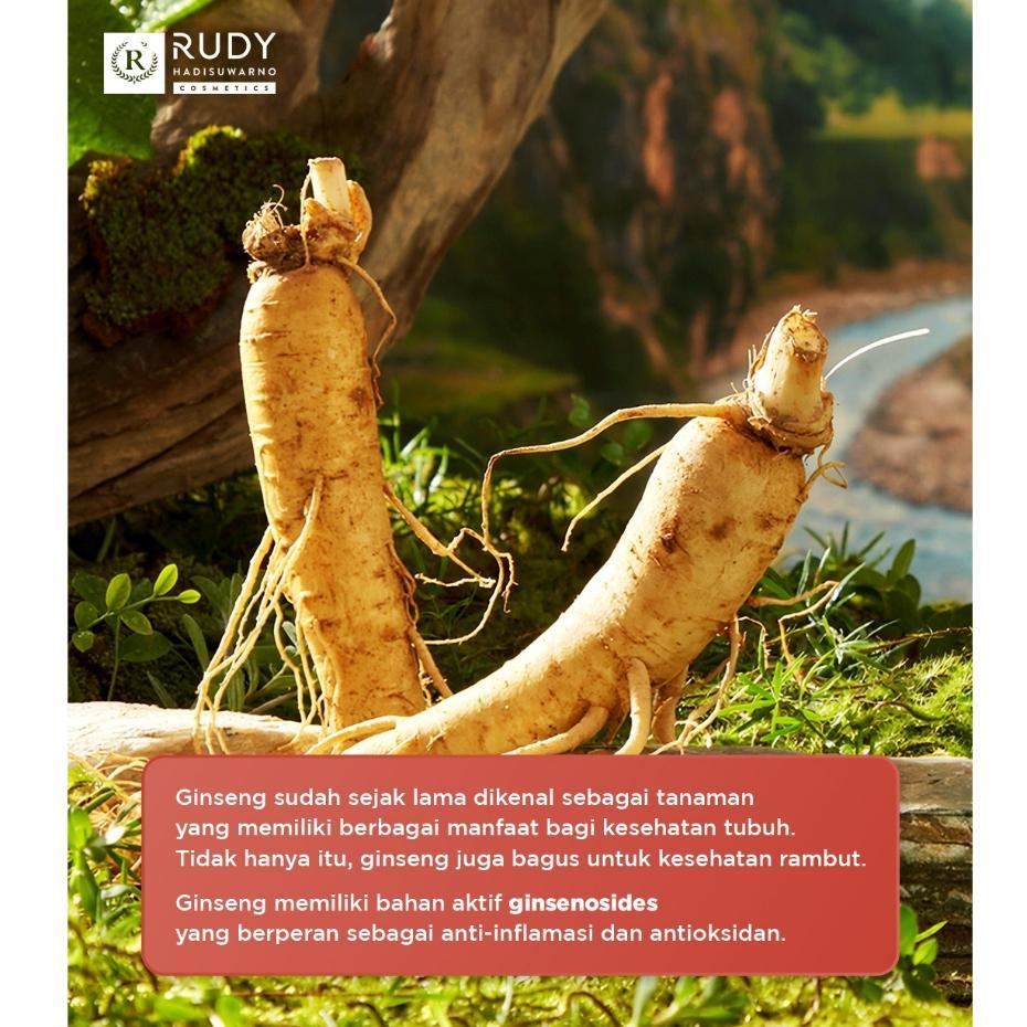 [BUNDLE] Rudy Hadisuwarno Hairloss Solution PAKET PEMULA RAMBUT RONTOK PARAH