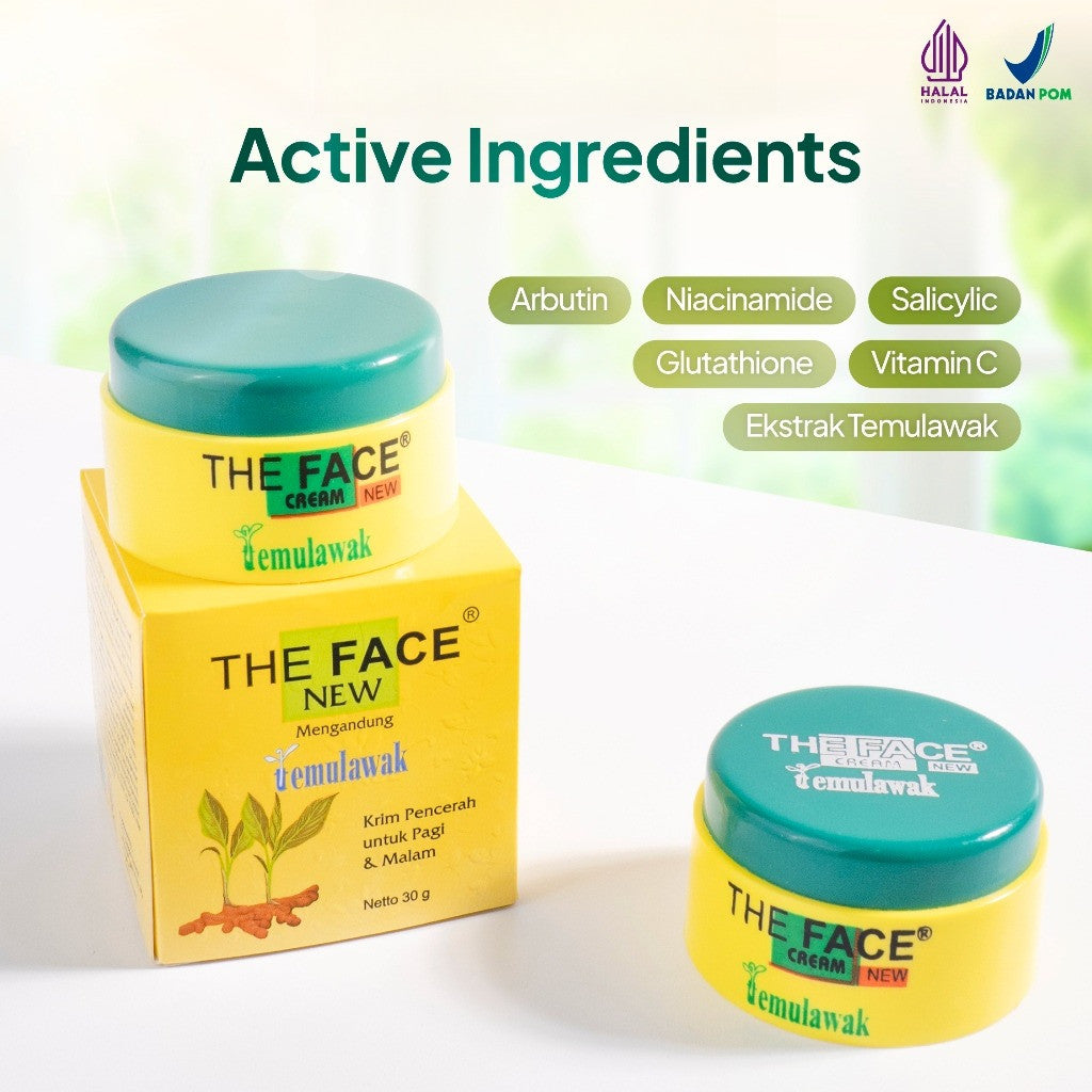 THE FACE Temulawak Day & Night Cream Netto 30gr With 5% Niacinamide | Man Corner