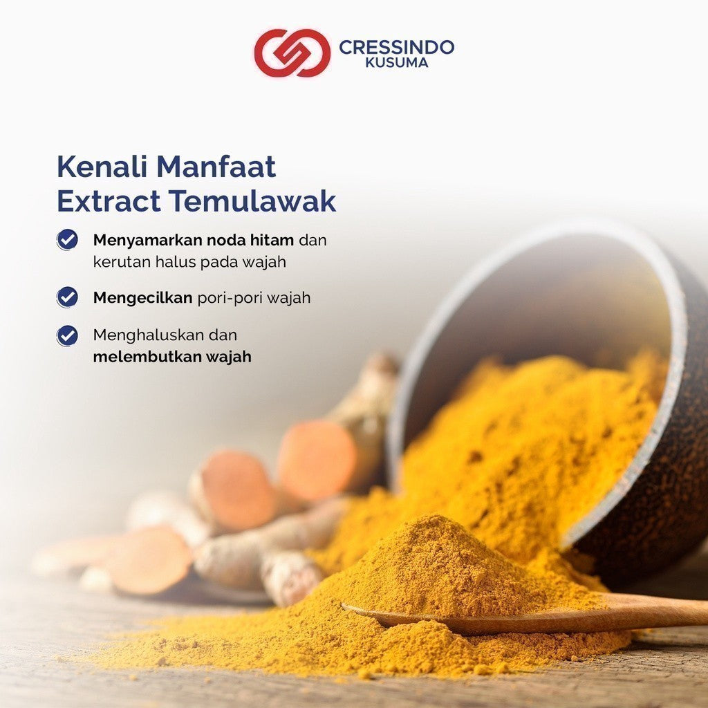THE FACE Temulawak Brightening Soap 40gr | Man Corner