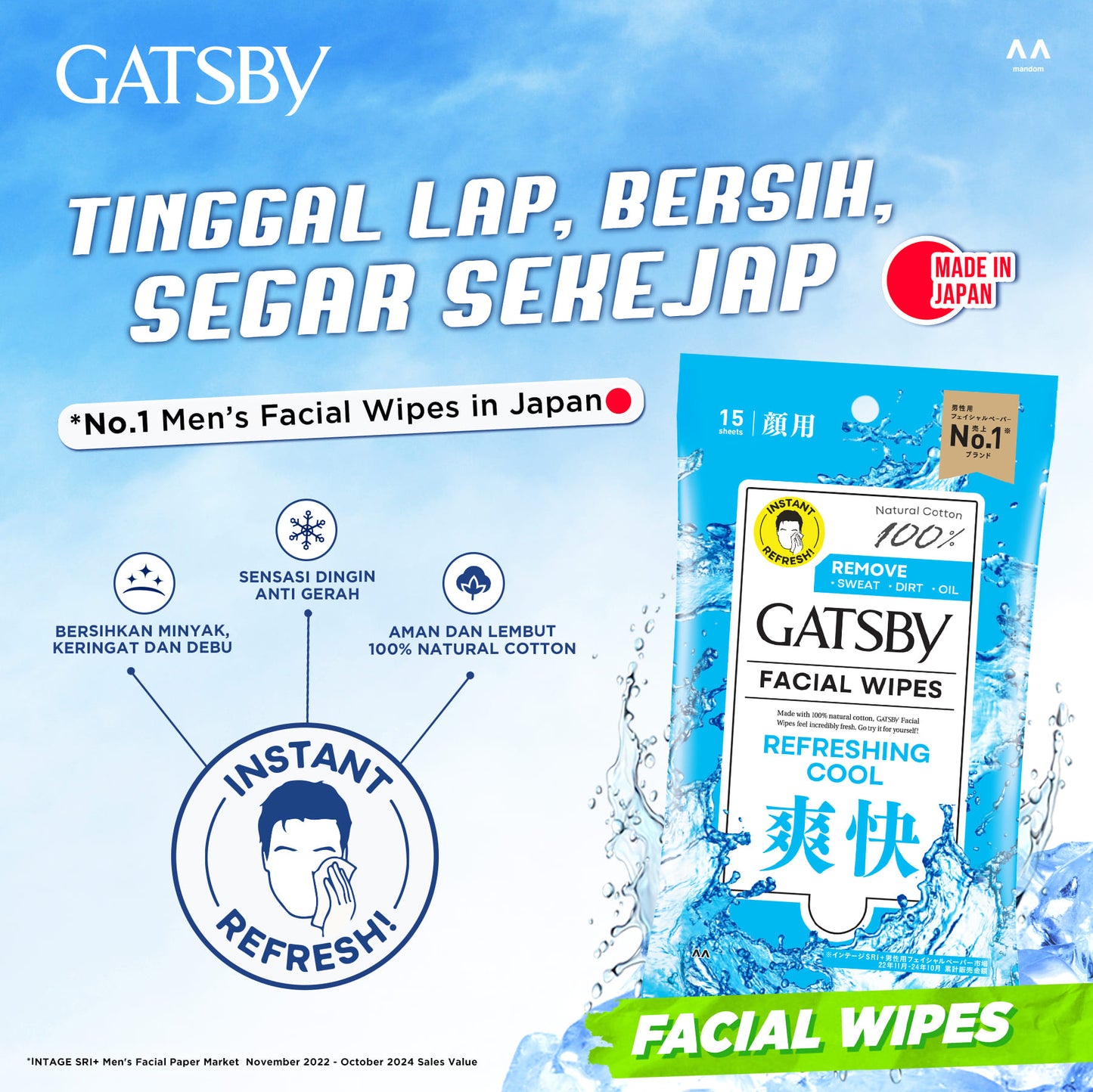 GATSBY Facial Wipes