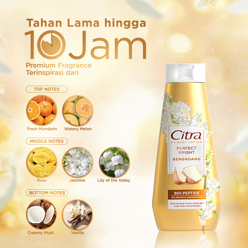 Citra UV Body Lotion Perfect Bright Bengkoang 380ML- Mencerahkan