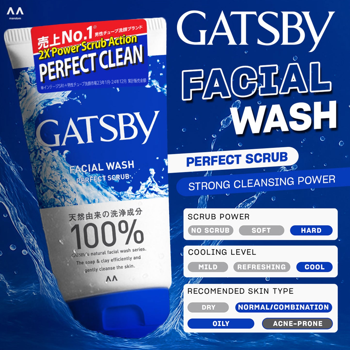 GATSBY Facial Wash 100 gr